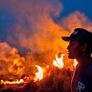 Ο Jair Bolsonaro χρησιμοποιεί τον κορονοϊό για να εξοντώσει τον Αμαζόνιο