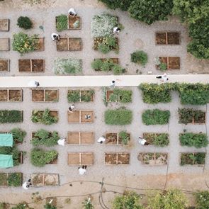 Alepochori Experience, με την υπογραφή του Τάσου Μαντή του πολυβραβευμένου Soil