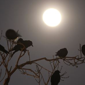 Πιο ζεστές οι νύχτες στην &lt;em>Ευρώπη&lt;/em> λόγω της κλιματικής αλλαγής