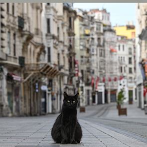 Η Ευρώπη μετά την καραντίνα