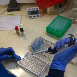 Τι γνωρίζουμε για τη μετάλλαξη του κορονοϊού