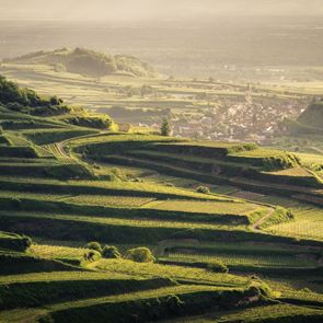 Η πιο πράσινη φουτουριστική πόλη της Ευρώπης