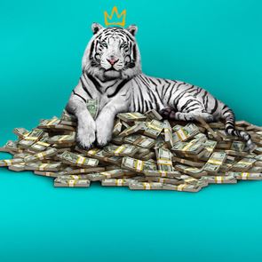 The White Tiger: Το επόμενο μεγάλο hit του &lt;em>Netflix&lt;/em>