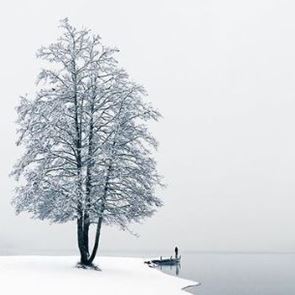 Τα χιονισμένα τοπία του φωτογράφου Mikko Lagerstedt προκαλούν δέος