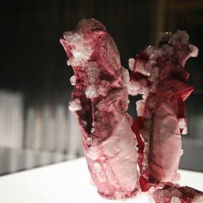 Sweat-Athens: Ο ανθρώπινος ιδρώτας μεταμορφώνεται σε έργο τέχνης