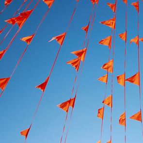 Τα Red Flag emojis είναι παντού στα &lt;em>social&lt;/em> &lt;em>media&lt;/em>. Αλλά γιατί;