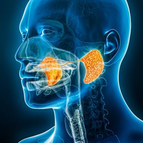 Σιελογόνοι αδένες: Παθήσεις και αντιμετώπιση