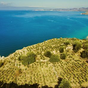 Ήρθε η ώρα να μιλήσουμε σοβαρά για το κρασί της Κεφαλονιάς