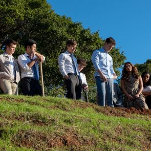 Τι βλέπουν περισσότερο οι Έλληνες στο &lt;em>Netflix&lt;/em>