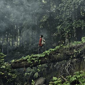 Η Ινδονησία κατασκευάζει νέα πρωτεύουσα μέσα στην ζούγκλα