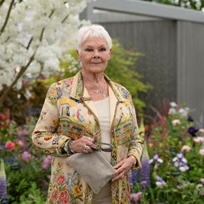 Όταν η Judi Dench τραγούδησε Abba