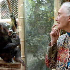 Έφυγε από τη ζωή η &#39;αληθινή ηρωίδα του πλανήτη&#39; Jane Goodall