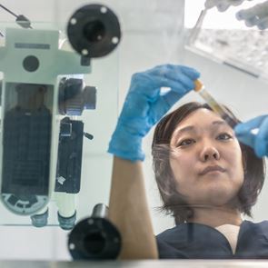 Ο &lt;em>κορονοϊός&lt;/em> δεν προήλθε από το Ινστιτούτο Ιολογίας της Ουχάν