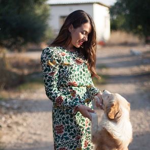 Stray Stories, ένα YouTube κανάλι με αδέσποτες ιστορίες