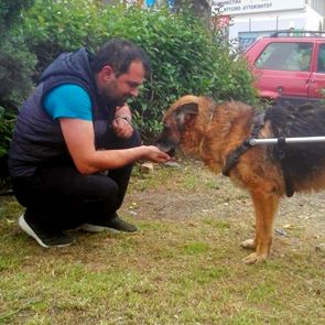 Ο Βασίλης Τζιγκούρας έχει φτιάξει πάνω από 1.200 αναπηρικά αμαξίδια για ζώα