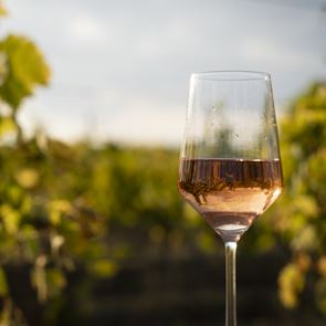 Οι Βάκχες έρχονται και πάλι στο Ρομάντσο