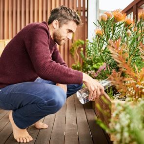 Τα ευεργετικά οφέλη των λουλουδιών στην υγεία μας
