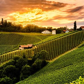 Τα 100 κορυφαία οινοποιεία του κόσμου για το &lt;em>2020&lt;/em>