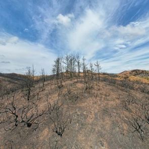 Έχουμε &#39;χαλάσει&#39; τόσο το κλίμα που και η έλλειψη ατμοσφαιρικής ρύπανσης είναι πρόβλημα