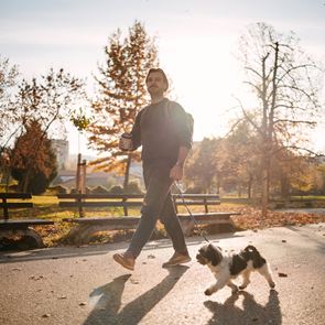 Ποια είναι η καλύτερη ώρα για να βγάλεις τον σκύλο σου βόλτα