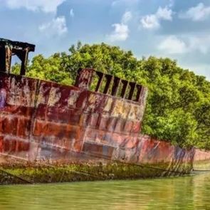Σε άλλα νέα, στην Αυστραλία ένα ναυάγιο άνθισε και έγινε κήπος