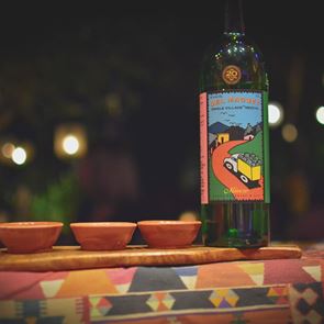 Ο αθηναϊκός παράδεισος της αγαύης βρίσκεται σε μια αυλή του Χαλανδρίου