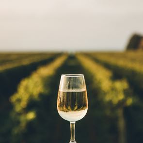 Η Άμβυξ ενισχύει το τμήμα Oenothèque