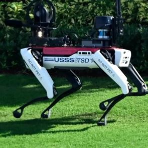 Αυτά είναι τα ρομποτικά σκυλιά που προστατεύουν την έπαυλη του Donald Trump