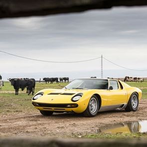 7 Lamborghini που δανείστηκαν το όνομά τους από ταύρους