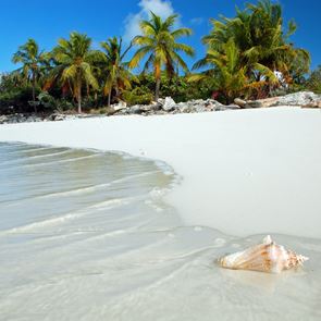 Το νησί του Fyre Festival πωλείται για 12 εκ. δολάρια