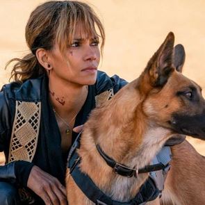 Πόσο ακριβείς είναι οι σκυλομαχίες στο John Wick 3