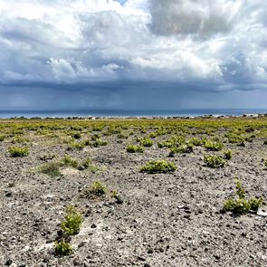 ΟΕΝΟ Π, ένας μοναδικός έρωτας για το κρασί που έγινε θαυμάσιο οινοποιείο