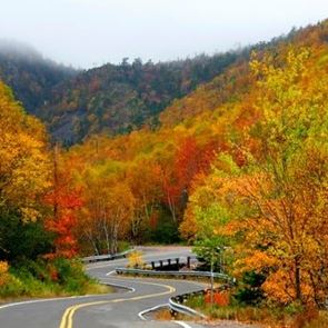 Αυτός είναι ο πιο όμορφος δρόμος στον κόσμο
