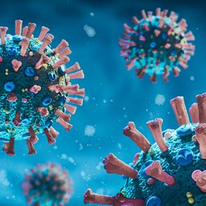 Τι είναι ο παρβοϊός