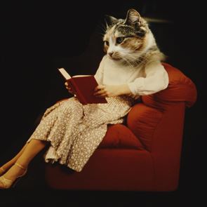 Βιβλία για άντρες, γραμμένα από γυναίκες