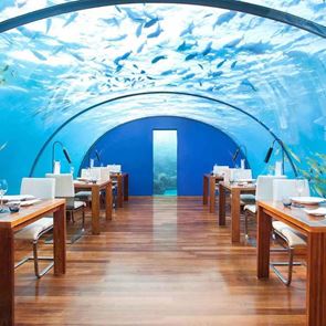 Μερικά από τα πιο περίεργα εστιατόρια του κόσμου