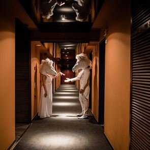 Brown Acropol, μία ξεχωριστή εμπειρία διαμονής στην Αθήνα