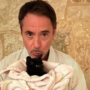 Διάσημοι που αγάπησαν γάτες