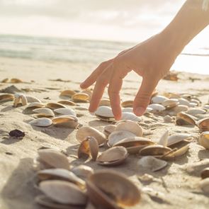 Γιατί δεν πρέπει να μαζεύουμε κοχύλια από την παραλία, σύμφωνα με την επιστήμη