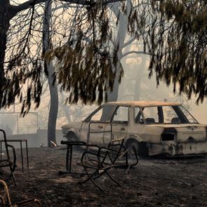 Έκκληση βοήθειας για πληγέντες: Χρήσιμα τηλέφωνα για στέγη, σίτιση και φροντίδα ζώων
