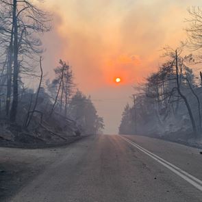 Ρεκόρ καταστροφών από πυρκαγιές τον Ιούλιο σε όλο τον κόσμο