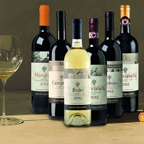 Μπορεί ένα κρασί να είναι vegan