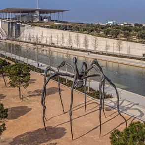 Τι παίζει με τη γιγαντιαία αράχνη στο ΚΠΙΣΝ