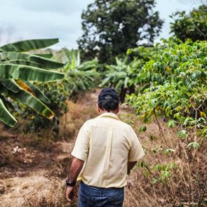 Ο νέος καφές της Nespresso έρχεται από τα <em>Νησιά</em> Γκαλαπάγκος