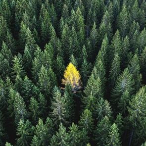 7 ασυνήθιστα <em>αρώματα</em> που μυρίζουν φθινόπωρο