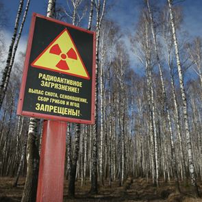 O τουρισμός αυξήθηκε κατά 40% στο Τσέρνομπιλ