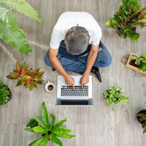 Γιατί πρέπει να βάλεις περισσότερα φυτά στο σπίτι σου