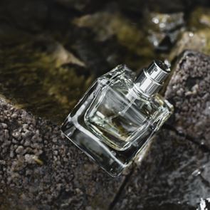 Τα ξυλώδη αρώματα του φετινού χειμώνα