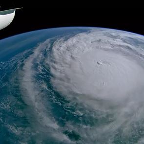 Μετεωρολόγος βάζει τα κλάματα για τον τυφώνα Milton: &#39;Ζητώ συγγνώμη, είναι απλώς φρικτό