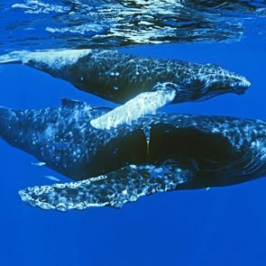 Τα πιο επικερδή ντοκιμαντέρ όλων των εποχών